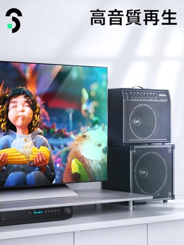 RCA 6.35mm 変換ケーブル 1.5M - SOOMFON 6.35mm(オス) to 2RCA(オス) モノラルケーブル ミニプラグ 変換 オーディオケーブル 赤白 Y型 分岐 高耐久性 金メッキプラグ ピーカー/ホームシアター/ミキサー等に対応 最後 画像