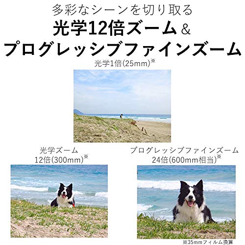 Canon コンパクトデジタルカメラ IXY 650 シルバー 光学12倍ズーム/Wi-Fi対応 IXY650SL 最後 画像