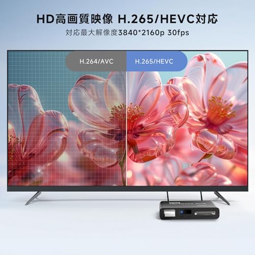 4K メディアプレーヤー フルHD【H.265/HEVC/VP9対応】外付けHDD/USB/SDカード 直接再生 多形式対応 (MKV/MP4/AVI/RM) コンパクト 日本語化 家庭用mp4プレーヤー デジタルサイネージ 中間 画像