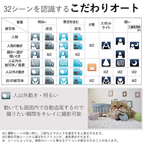 Canon コンパクトデジタルカメラ IXY 650 シルバー 光学12倍ズーム/Wi-Fi対応 IXY650SL 中間 画像