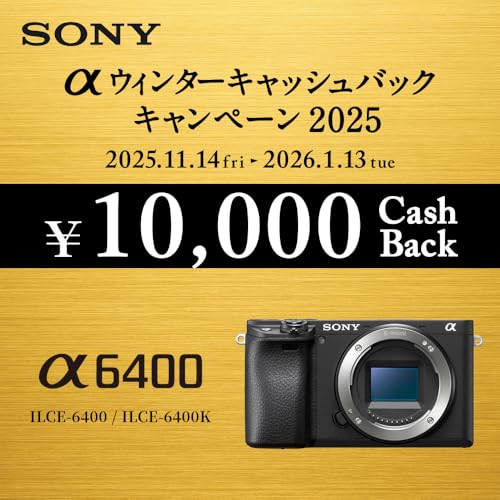 SONY(ソニー) ミラーレス一眼カメラ α6400 パワーズームレンズキット(同梱レンズ:SELP16502) ブラック ILCE-6400K BQ レンズ交換式 APS-C 6400K Black 最後 画像