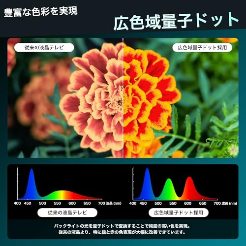 【Amazon.co.jp限定】ハイセンス【3年保証】55V型 55E7N 4K 量子ドット 倍速パネル 144Hz VRR ゲームモード ネット動画 スマート ダブル録画 チューナー内蔵 Alexa AirPlay2 液晶 テレビ 中間 画像