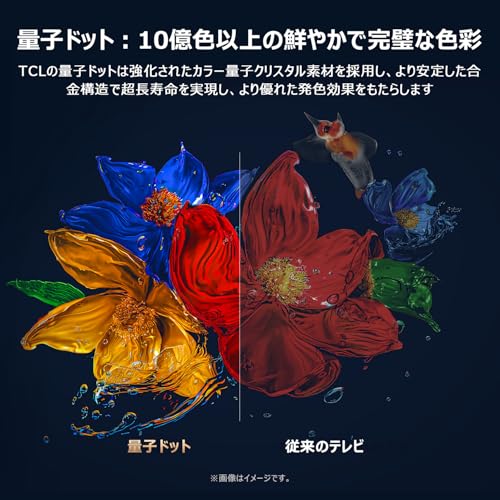 【Amazon.co.jp限定】TCL テレビ 55V型 4K 量子ドット 倍速 55T8C 液晶 Dolby Atmos Alexa 目保護 音声検索 壁かけ Wチューナー 2025年モデル ゲームマスター ネット動画 チューナーイン 音声コントロール スマートテレビ 中間 画像