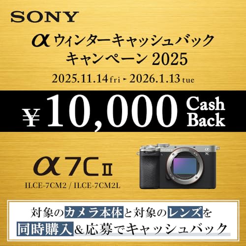 SONY(ソニー) フルサイズ ミラーレス一眼カメラ α7CII ズームレンズキット(同梱レンズ:SEL2860) ブラック ILCE-7CM2L B 最後 画像