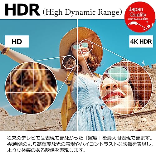 43V型 4K対応 地上・BS・110度CS 液晶テレビ ダブルチューナー内蔵 HDR10 HDMI4系統 LED直下型バックライト [日本設計メインボード搭載] 外付けHDD裏番組録画対応 HDMI HDD録画機 ブルーガード イコライザー 40型 43インチ 50 d021 中間 画像