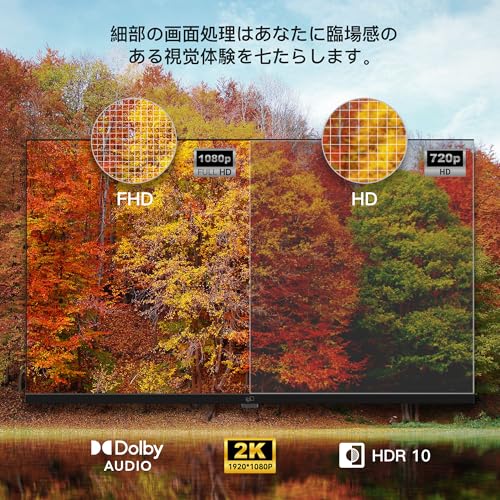 FPD チューナーレス テレビ 43インチ 壁掛け LED 液晶 Bluetooth スマートGoogle TV 43V型, Wifi, HDMI, ネット動画対応, FHD, HDR10, VESA規格, Cast内蔵 中間 画像