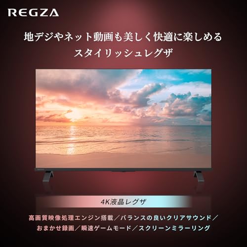 REGZA レグザ テレビ 65E350R (65インチ / 4K テレビ/液晶/クリア音声/ダブルチューナー / AirPlay2対応 / スマートテレビ / 2025年モデル)の詳細・まとめ 画像