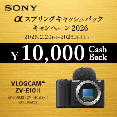 SONY(ソニー) Vlog用カメラ レンズ交換式VLOGCAM APS-C ミラーレス一眼カメラ ZV-E10M2 パワーズームレンズキット(同梱レンズ:SELP16502) ウィンドスクリーン付属 ブラック ZV-E10M2K BQの詳細・まとめ 画像
