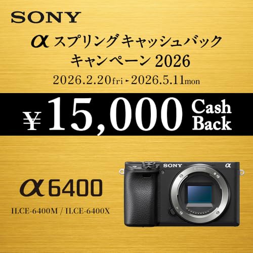 SONY(ソニー) ミラーレス一眼カメラ α6400 ダブルズームレンズキット(同梱レンズ:SELP16502+SEL55210) ブラック ILCE-6400X BQ レンズ交換式 APS-C 6400X Blackの詳細・まとめ 画像