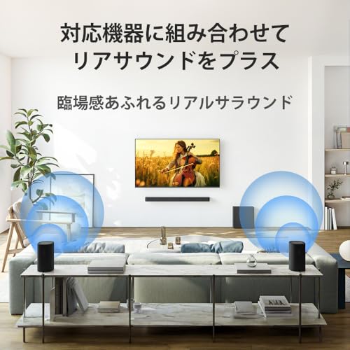 ソニー(SONY) リアスピーカー SA-RS8 BRAVIA Theatre Rear 8の特徴・詳細 画像