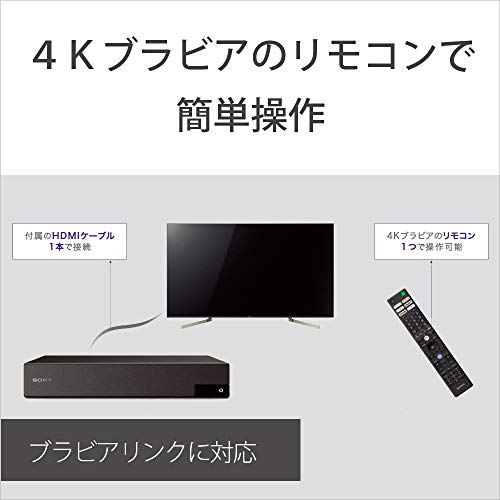 ソニー 4Kチューナー BS/CS4K 地上デジタル 裏録対応 ダブルチューナー HDMIケーブル付属 DST-SHV1の特徴・詳細 画像