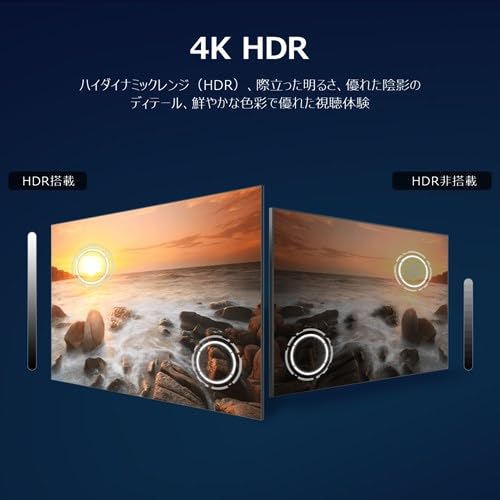 TCL テレビ 55型 TCL 55P61K 液晶 55インチ 4K チューナー内蔵 ネット動画 Google TV スマートテレビ スマホ連携 AirPlay 2 Chromecast Dolby Audio 55P61Kの特徴・詳細 画像