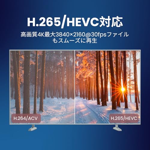 メディアプレーヤー H.265/HEVC対応 USB/SD/HDD 動画・音楽・写真直接再生 MP4再生スライドショー&リピート再生 ISO再生可 デジタルサイネージ用 日本語リモコン付 日本語対応の特徴・詳細 画像