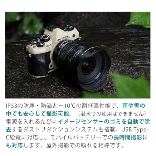 オーエムシステム OM-5 Mark II 12-45mm F4.0 PRO レンズキット ブラック 6点セットの特徴・詳細 画像
